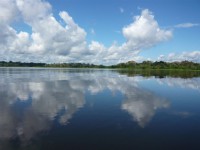 /album/fotos/amazonas02-jpg/