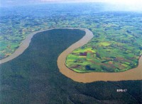 /album/fotos/icambioclimatico-selvaamazonas-jpg/