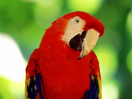 Bienvenidos 