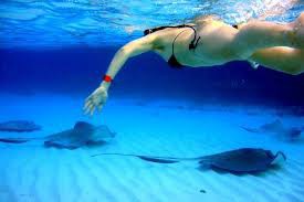 Experiencia San Andres