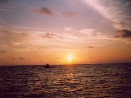 Atardecer 